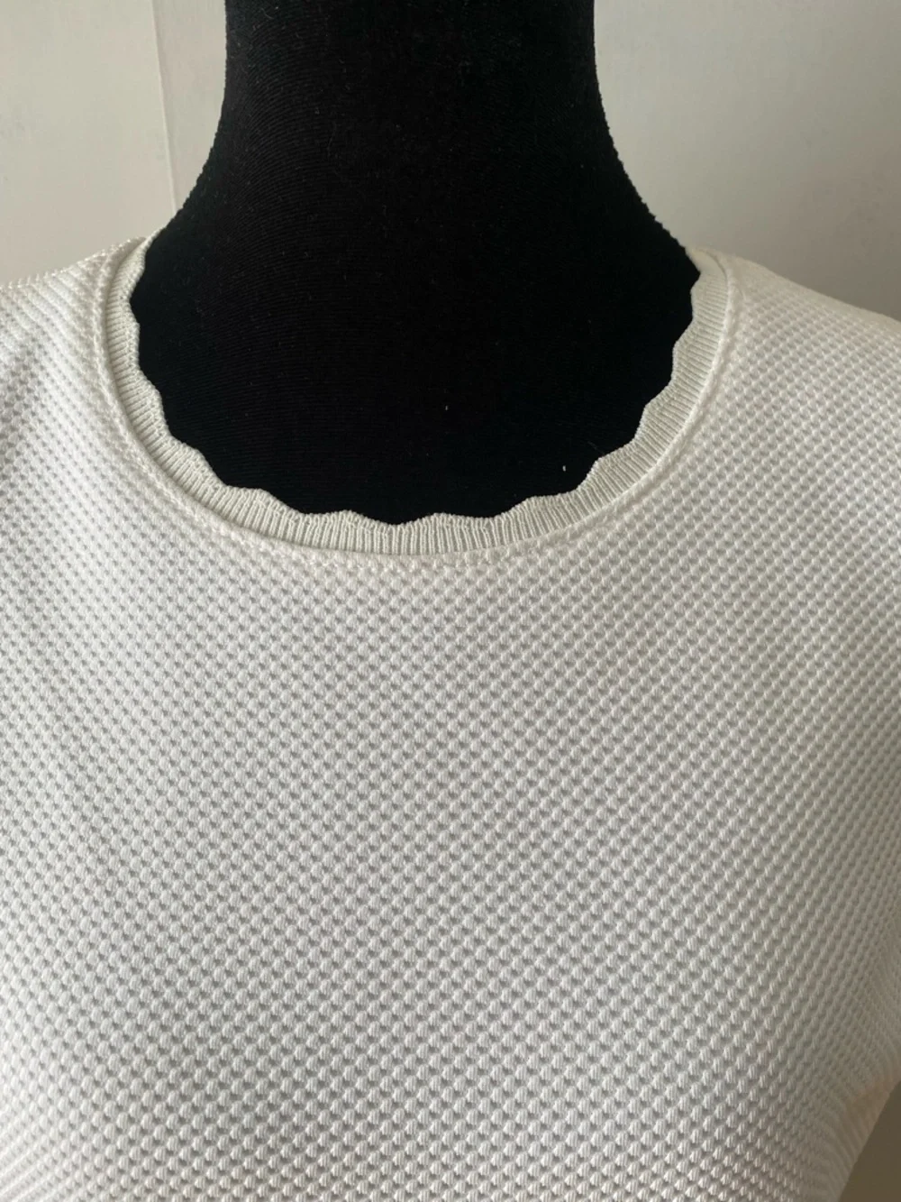 Rebecca Taylor White Sleeveless Fit-and-Flare Mini Dress - Picture 3 of 6